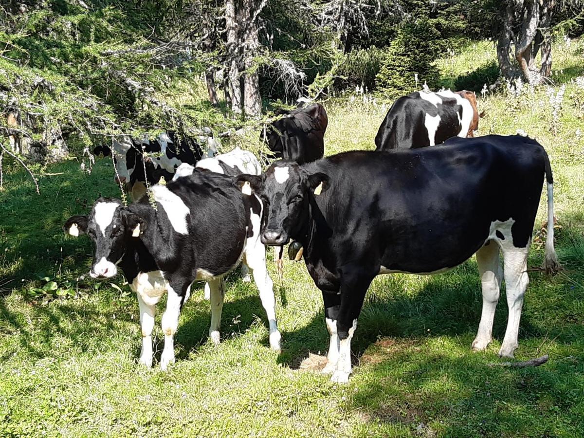 Troadkasten - Ferienhaus Am Bio-Bergbauernhof Aflenz Kurort Eksteriør billede