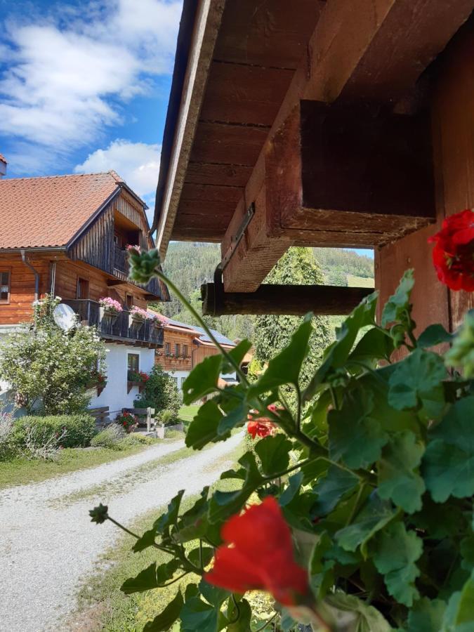 Troadkasten - Ferienhaus Am Bio-Bergbauernhof Aflenz Kurort Eksteriør billede