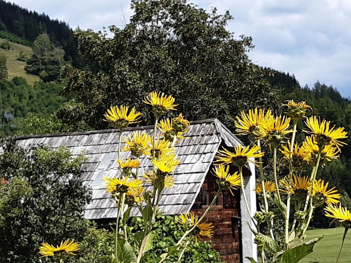 Troadkasten - Ferienhaus Am Bio-Bergbauernhof Aflenz Kurort Eksteriør billede