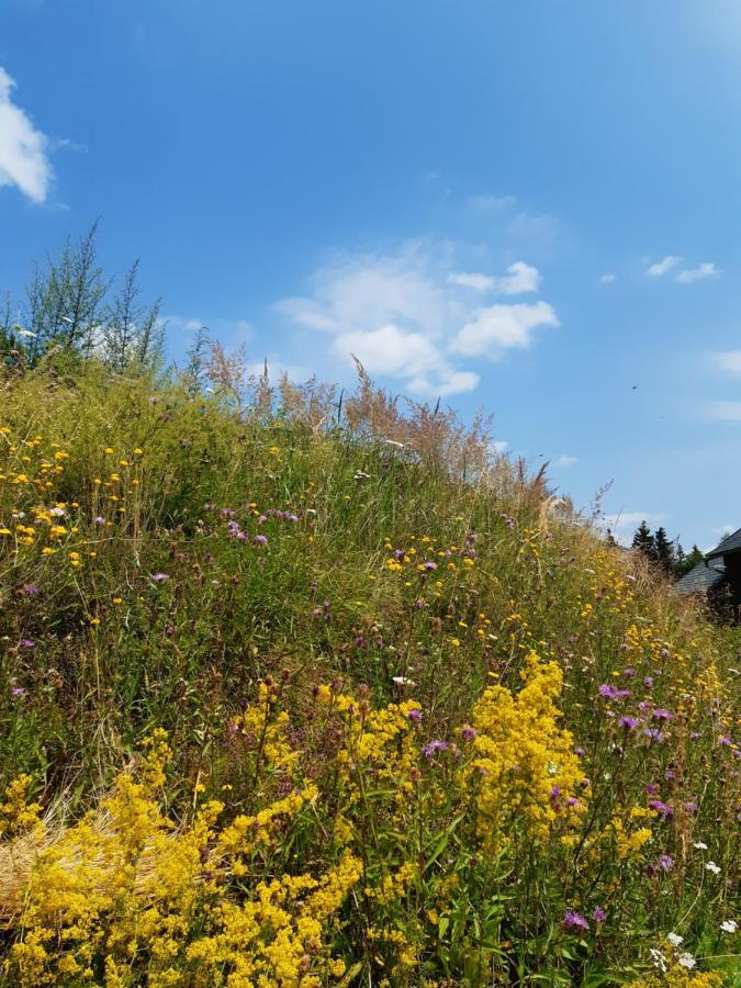 Troadkasten - Ferienhaus Am Bio-Bergbauernhof Aflenz Kurort Eksteriør billede